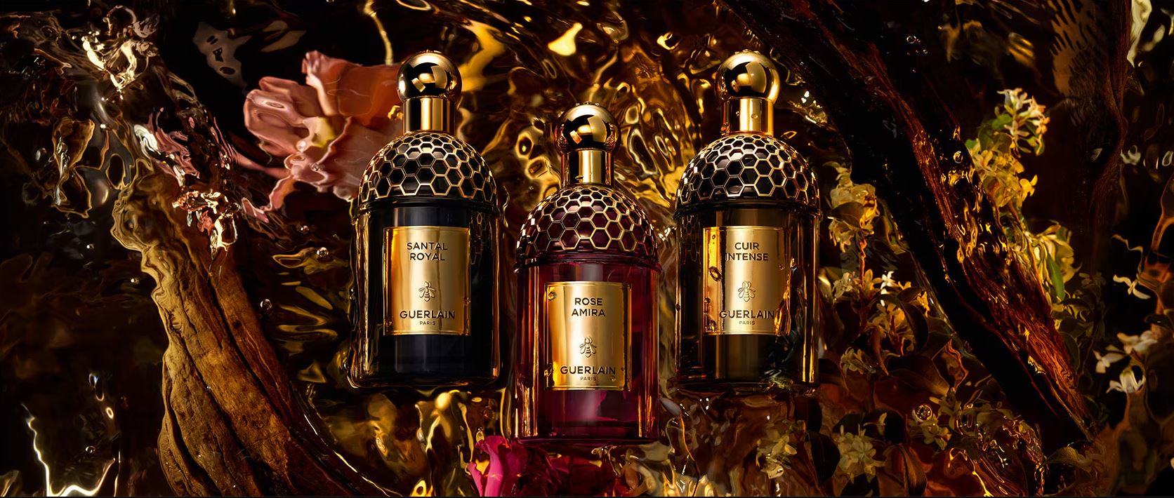 Absolus Allegoria Collection