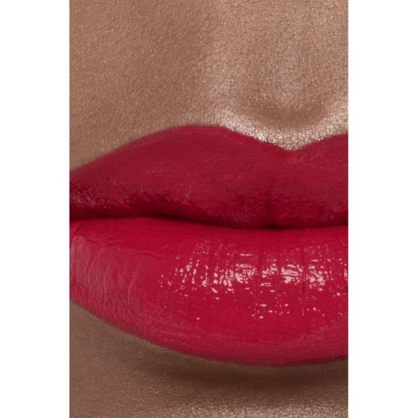 CHANEL Rouge Coco bloom Mitrinoša un apjomu palielinoša lūpu krāsa