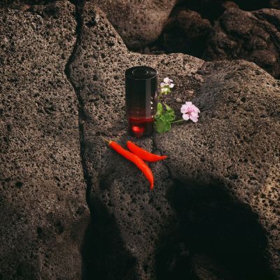 TRUSSARDI Primo Parfimērijas ūdens