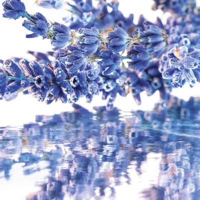 GUERLAIN Mon Guerlain Parfimērijas ūdens