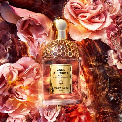 GUERLAIN Aqua Allegoria Forte Rosa Palissandro AQUA WOODY FORTE ROSA PALISSANDRE EDP 75ML