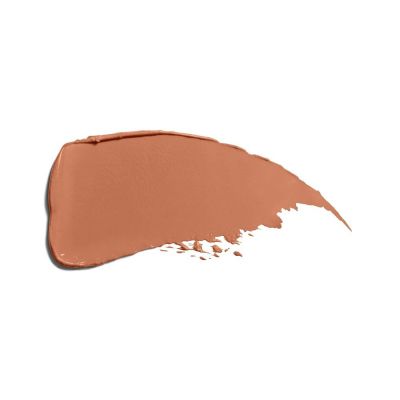 SHISEIDO TECHNOSATIN GEL LIPSTICK Lūpu krāsa