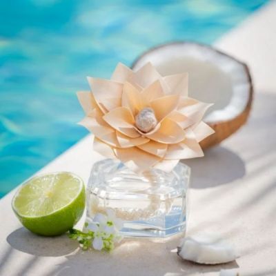 DURANCE SCENTED FLOWER COCONUT WATER Mājas aromāts