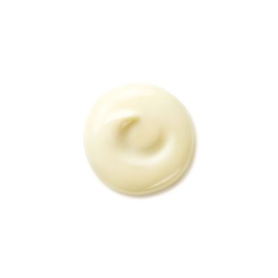 SHISEIDO Benefiance Wrinkle Smoothing Day Cream Pretgrumbu sejas krēms