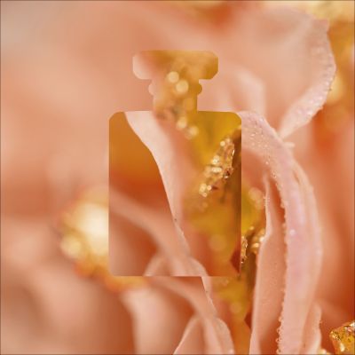 CHANEL Coco Mademoiselle Parfimērijas ūdens