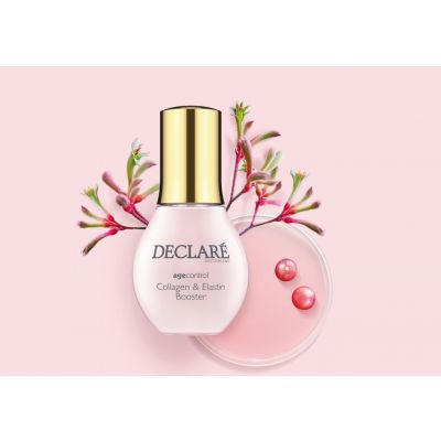 DECLARÉ Collagen & Elastin Booster Serum Nostiprinošs sejas serums