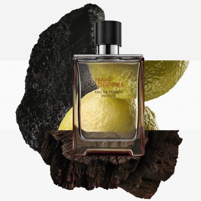 HERMÈS Terre D'Hermès Eau De Parfum Intense Intensīvais parfimērijas ūdens
