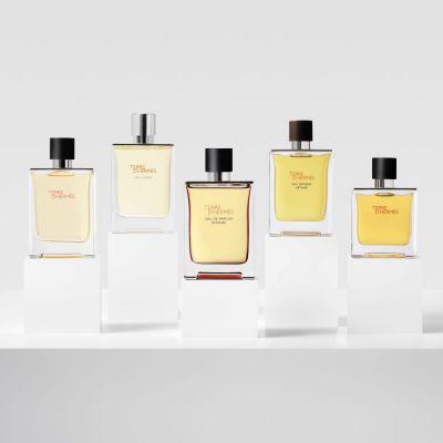 HERMÈS Terre D'Hermès Eau De Parfum Intense Intensīvais parfimērijas ūdens