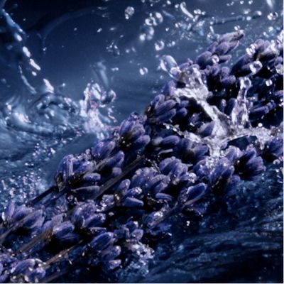 YVES SAINT LAURENT Y L'Elixir Parfīms